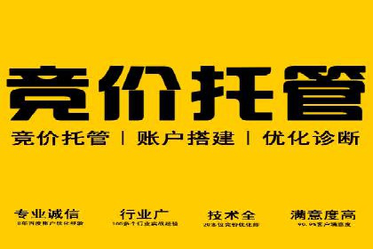 百度广告竞价效果评估：某知名品牌的投放效果分析